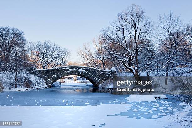 gapstow bridge sunrise - central park winter stockfoto's en -beelden