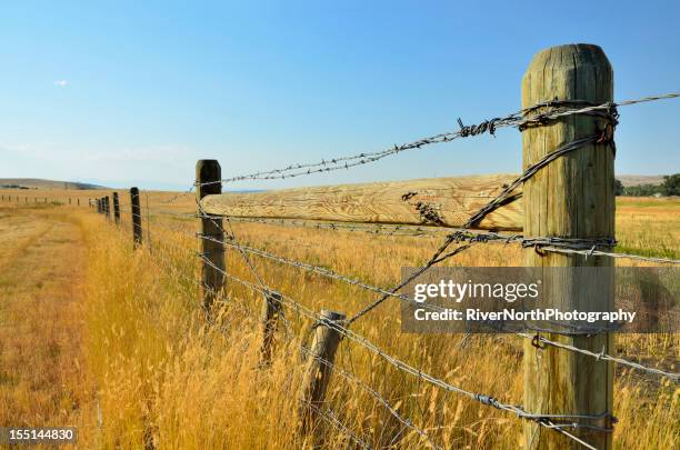 montana landscape - barbed wire fence stock pictures, royalty-free photos & images