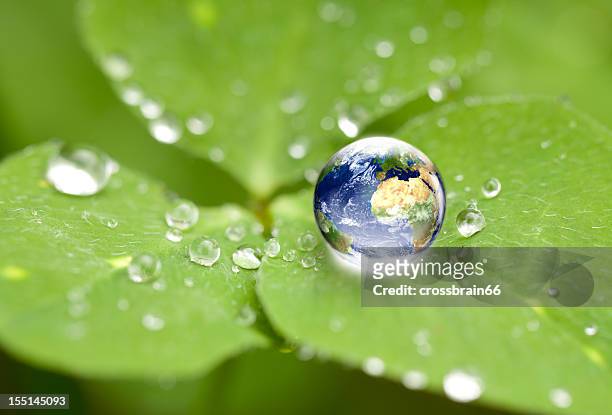 globo do mundo em água gota no cloverleaf - desperdício de água imagens e fotografias de stock