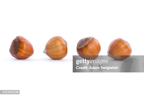 Hazelnuts Hazelnuts