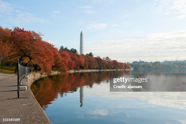 washington monument at the mall, in dc with colorful tree - washington monument washington dc stock pictures, royalty-free photos & images