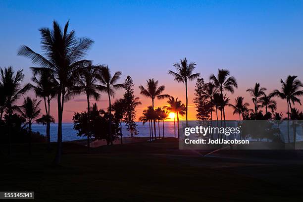 tropical  sunset - 夏威夷大島 個照片及圖片檔