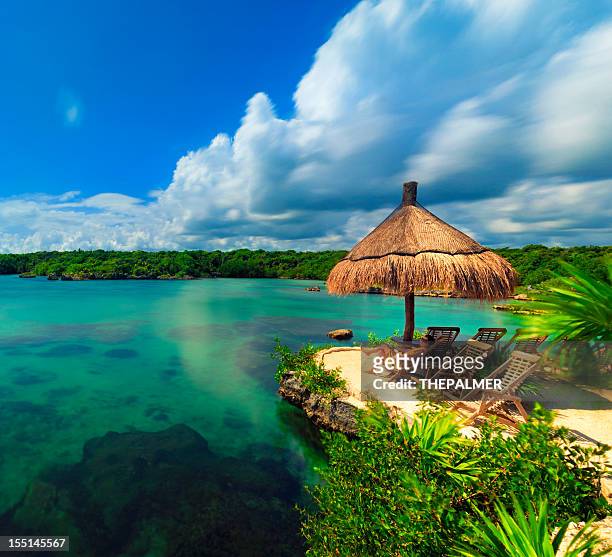lagoon in mexico - méxico stock pictures, royalty-free photos & images