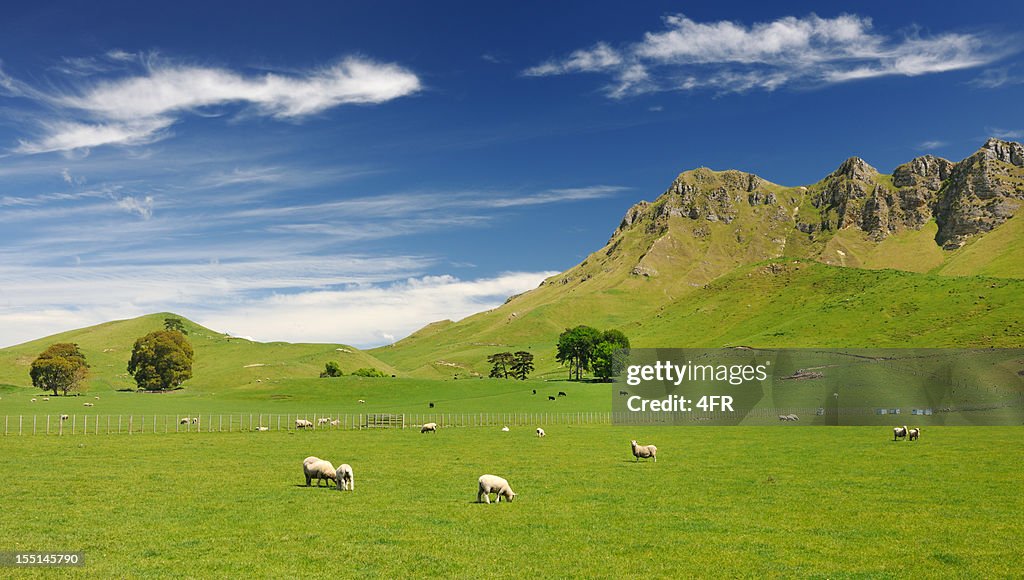 Beautiful New Zealand (XXXL)