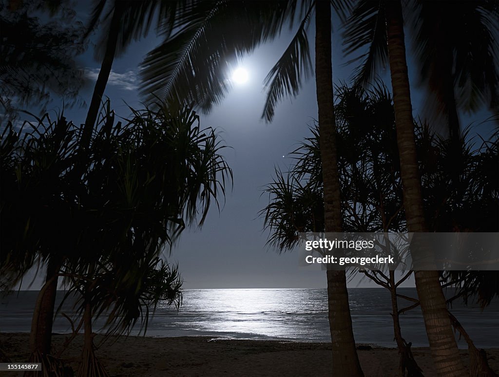 Dunkles tropischen Strand bei Mondlicht