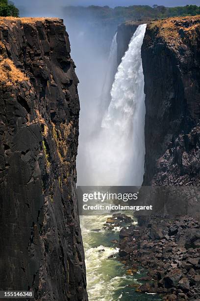 classic view of victoria falls - victoria falls stock pictures, royalty-free photos & images