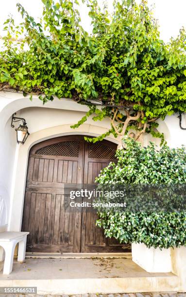 Facade with brown wooden door and covered by plants