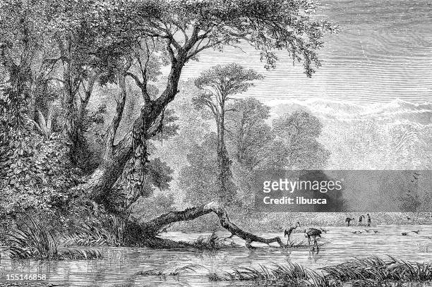 river in south russia - woodland stock illustrations