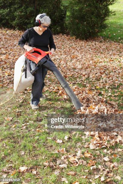 woman mulching autumn leaves - ear muffs stock pictures, royalty-free photos & images