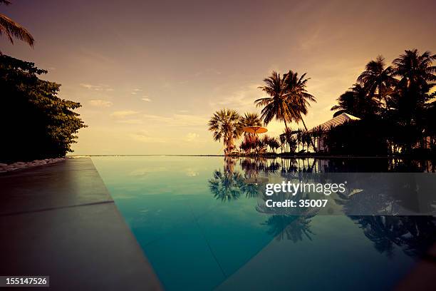 twilight in paradise - infinity pool stock pictures, royalty-free photos & images