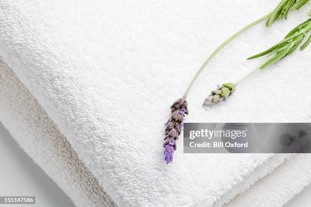 toallas y el salón lavender - toalla fotografías e imágenes de stock