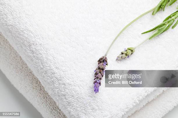 towels and lavender - towel stock pictures, royalty-free photos & images