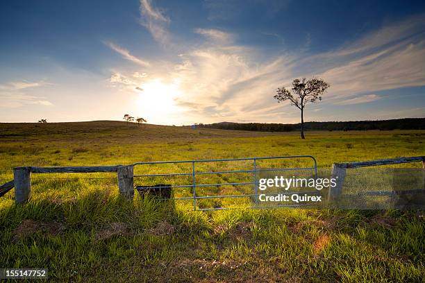 rustic gate, australian farmland - queensland farm stock pictures, royalty-free photos & images