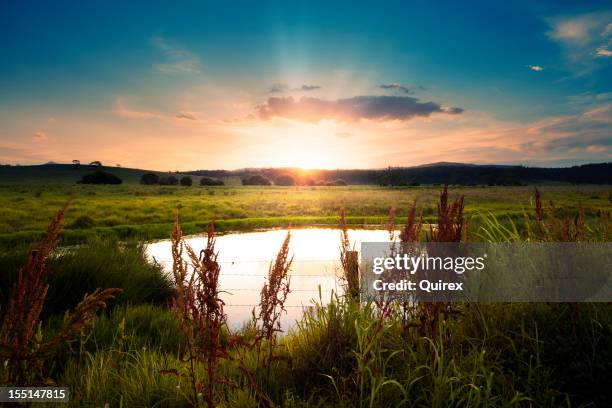 australian sunrise - queensland farm stock pictures, royalty-free photos & images