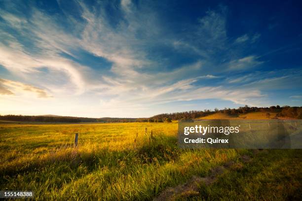 ampia campo apri (open - australia farm foto e immagini stock