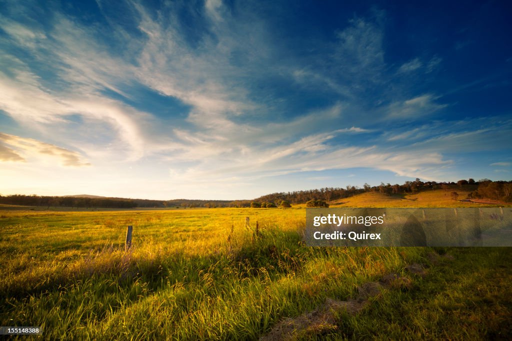 Grande campo aberto