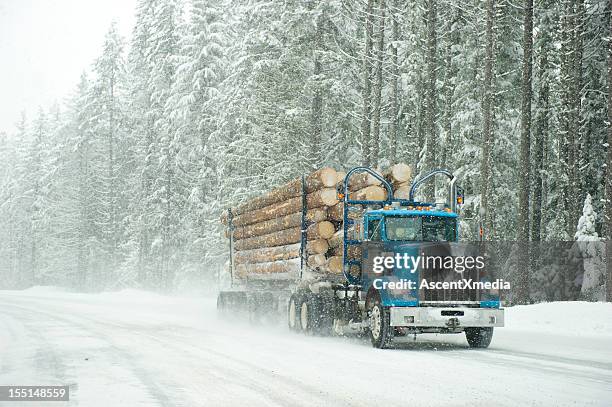 storm trucker - forestry stock pictures, royalty-free photos & images