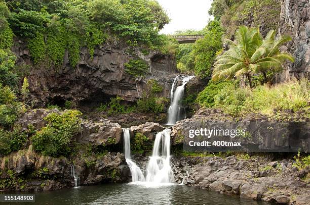 maui&#8217;s seven sacred pools - water fall hawaii 個照片及圖片檔