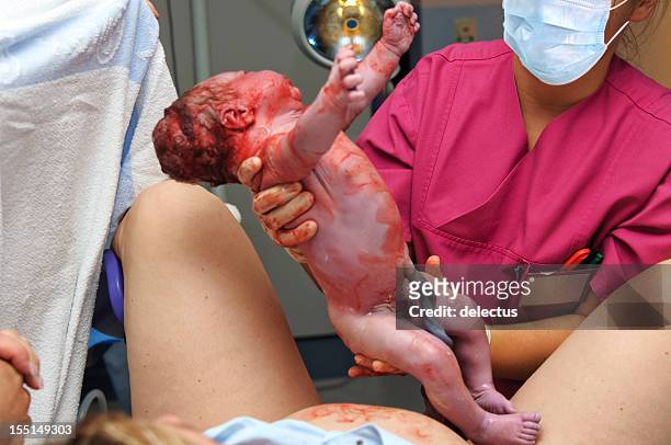 first moment - birth - umbilical cord stock pictures, royalty-free photos & images