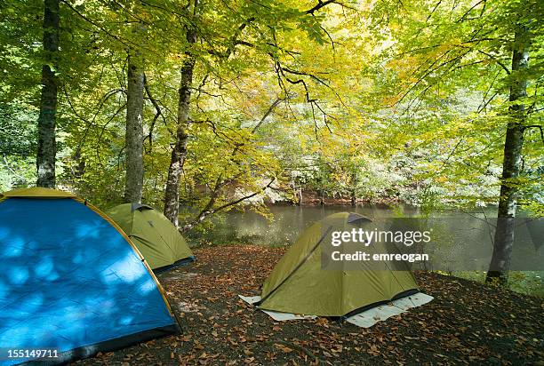 tents set up for camping in the woods - scouts stockfoto's en -beelden