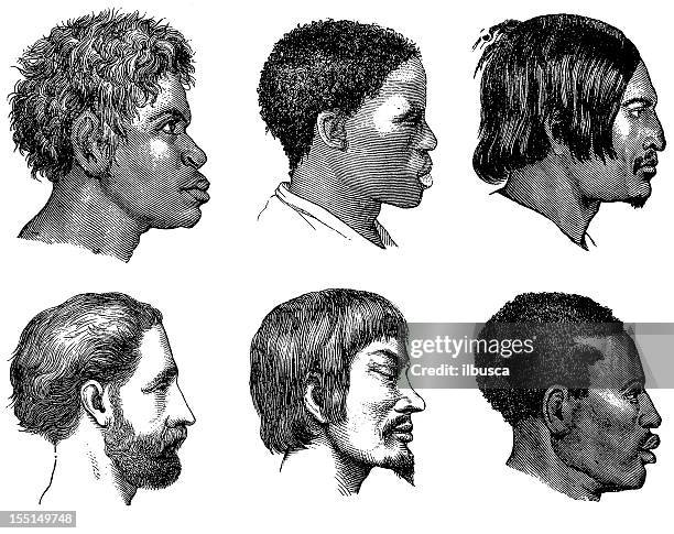 Different Human Races Side Profiles Profiles Different Races Photos and Premium High Res Pictures - Getty ...