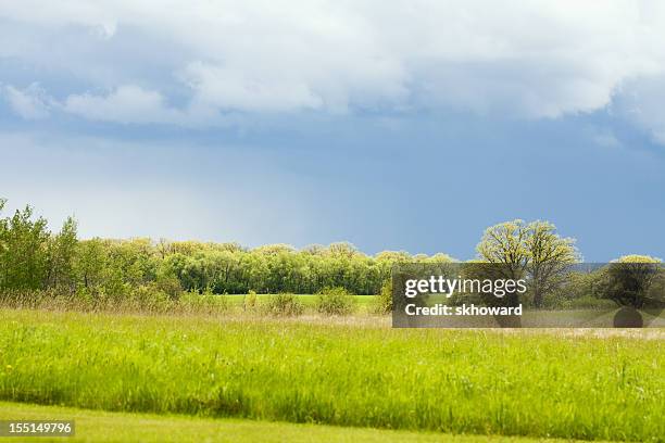 Minnesota Spring Computer Background 244 Minnesota Spring Landscape Stock Photos, High-Res Pictures, and ...