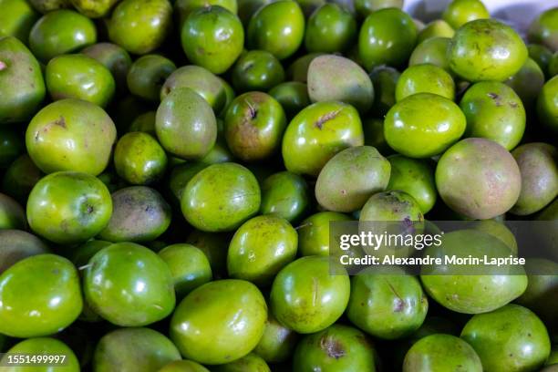 bunch of green jocotes (spondias purpurea) known as ciruela or purple mombin, a fruit native to central america on a stall in colorful market mercado mayor - spondias purpurea stock pictures, royalty-free photos & images