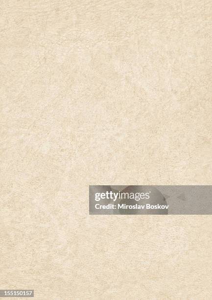 high resolution antique animal skin parchment grunge texture - skin texture stockfoto's en -beelden