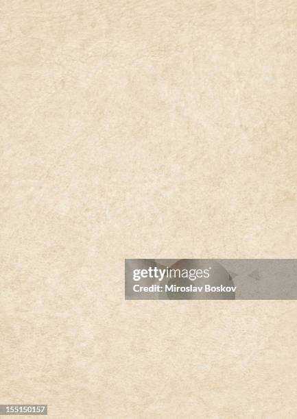 high resolution antique animal skin parchment grunge texture - vellum stock pictures, royalty-free photos & images