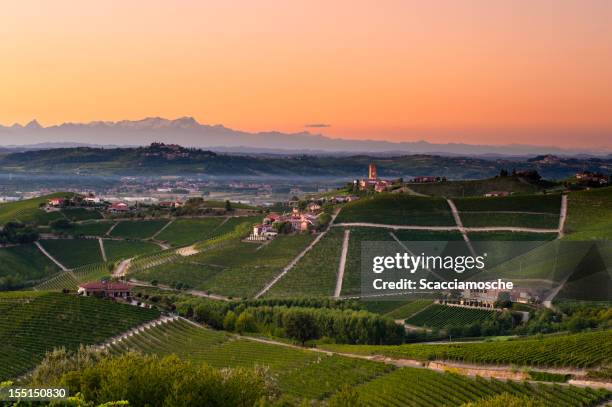 barbaresco vineyards at dusk - alba bildbanksfoton och bilder