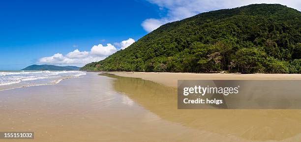 cape tribulation waterfront, queensland, australia - cape york stock pictures, royalty-free photos & images