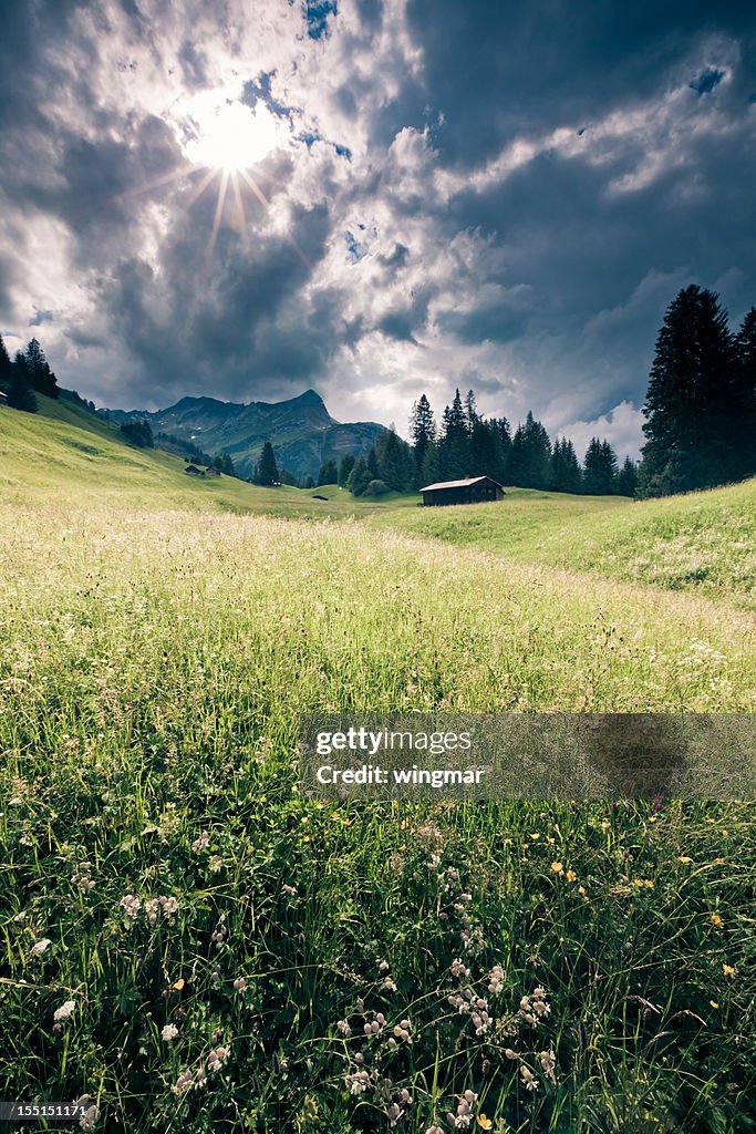 スプリング meadow に劇的な空チロル、austria-ビンテージフィルタ付き