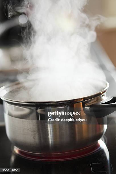 água de culinária - saucepan - fotografias e filmes do acervo