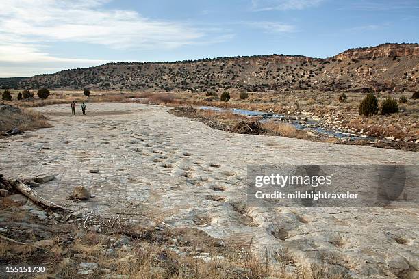 i visitatori di jurassic sauropod di dinosauro tracksite purgatoire fiume colorado - dinosauri foto e immagini stock