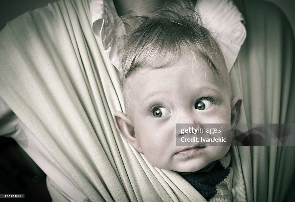 Curious boy in a baby sling