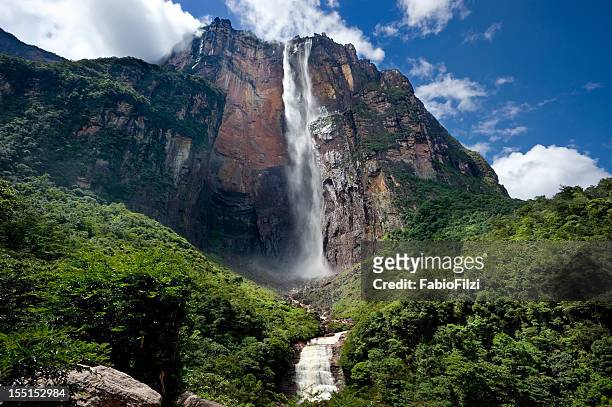 angel falls - venezuela stock pictures, royalty-free photos & images