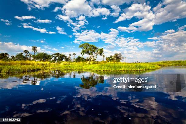 okavango delta, botswana - okawangodelta stock-fotos und bilder
