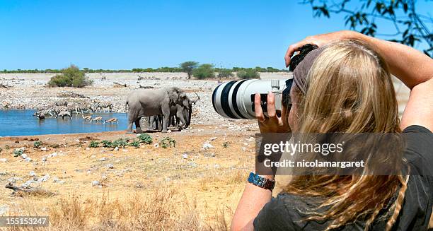 観光客の写真にアフリカのサファリ - アフリカ　動物 ストックフォトと画像