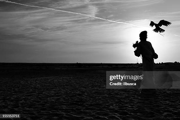 falcon trainer in the desert against sun - falcon dubai stock pictures, royalty-free photos & images
