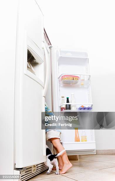there must be something good in here to eat. - funny fridge stock pictures, royalty-free photos & images