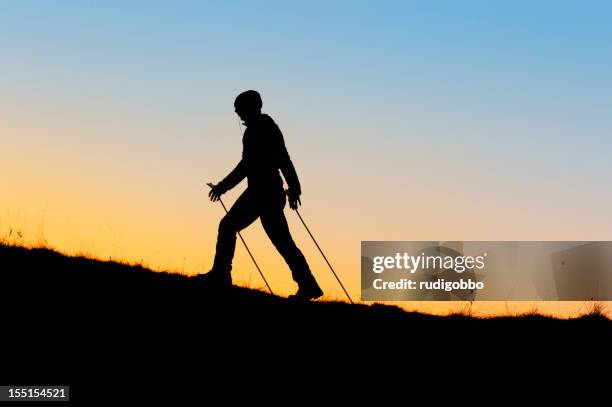 nordic walking - nordic walking stock pictures, royalty-free photos & images