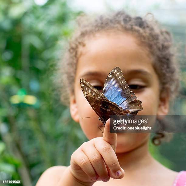 kind holding schmetterling gepunktete holz (pararge aegeria - butterfly hand stock-fotos und bilder