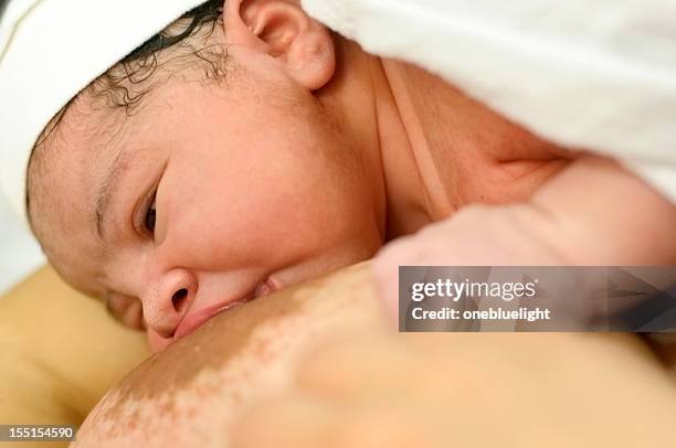 newborn baby being breastfed - woman giving birth 個照片及圖片檔