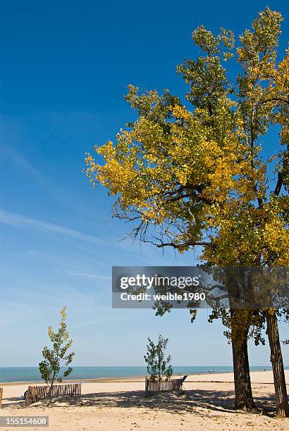 beach lake michigan - indiana dunes stockfoto's en -beelden