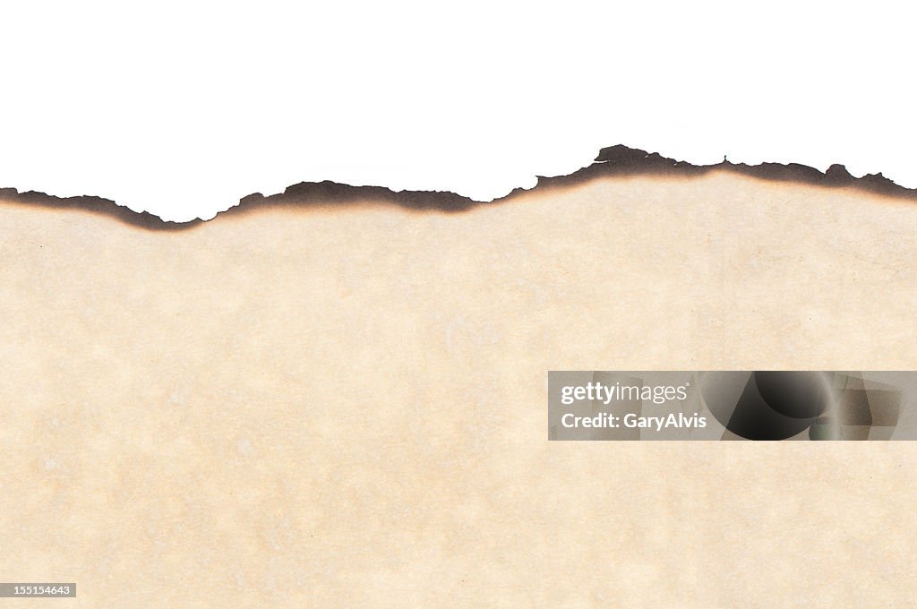 Seamless parchment paper w/burned edges