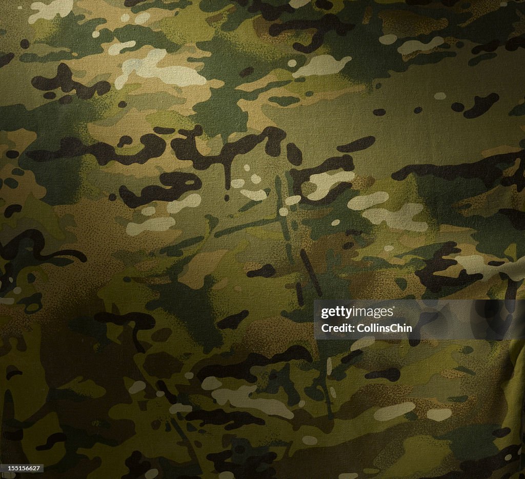 Camouflage background