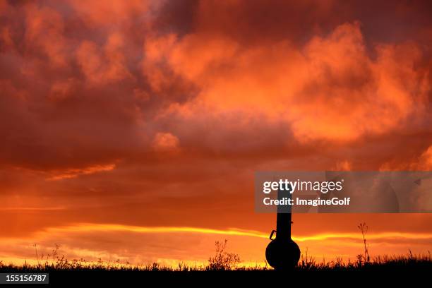 banjo hardshell case silhouette - country and western music stock pictures, royalty-free photos & images