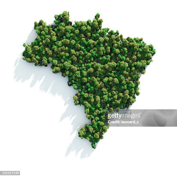 green brazil - amazonia stockfoto's en -beelden