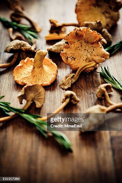 mushrooms - cantharellus tubaeformis stock pictures, royalty-free photos & images