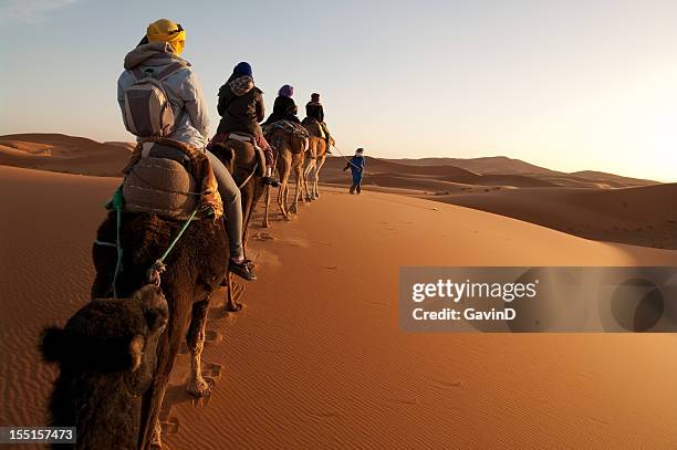 touristen, die auf zug der kamele in der sahara leitung guide - merzouga stock-fotos und bilder
